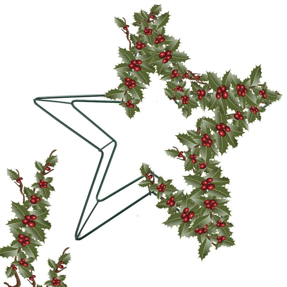 Personalizable Metal Wire Star - đánh giá và giá Wreath Form Wire